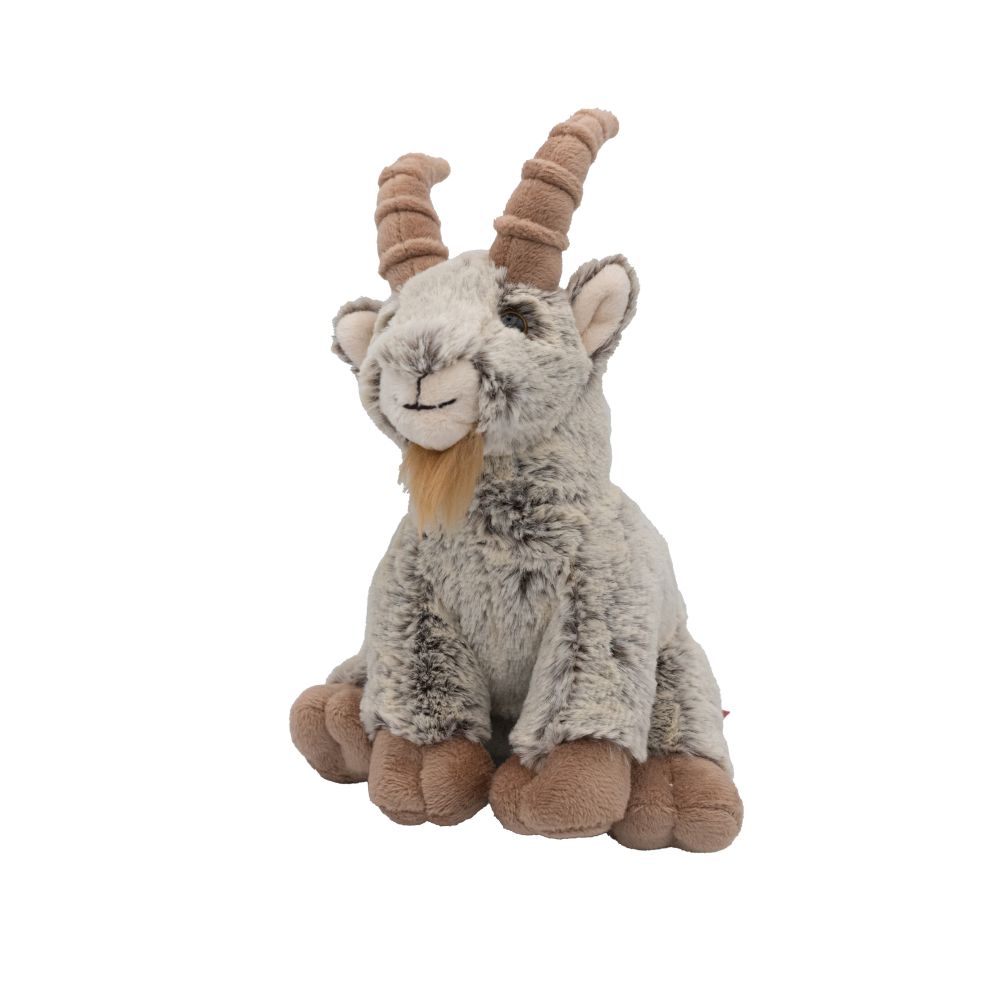 Juni Highlight | CHF 24.00